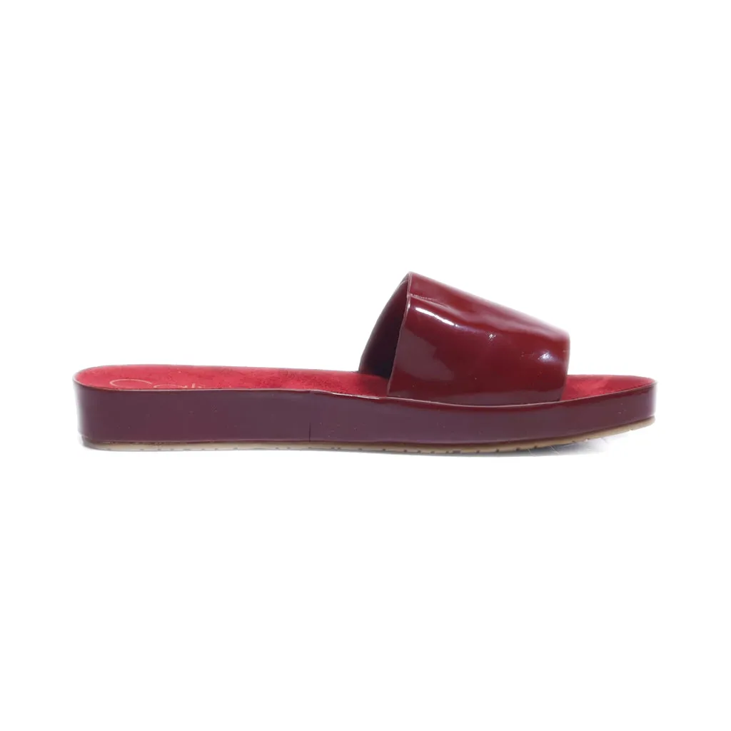 Calvin Klein Marlina Flat Sandals Leather Maroon Colour For Women