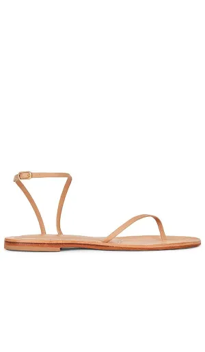 CoRNETTI Goloritze Sandal in Rose