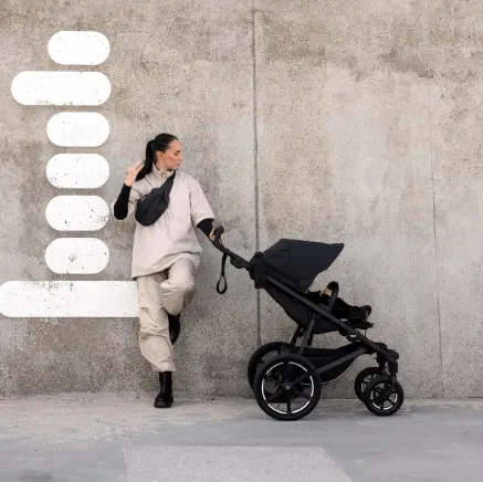 Thule Urban Glide 4-Wheel